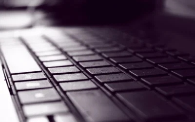 Online Demo Launched for TEM Software