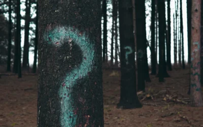 What goes into telecom invoice auditing?