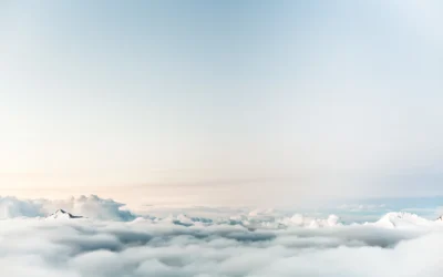 Seeing Clearer with SaaS