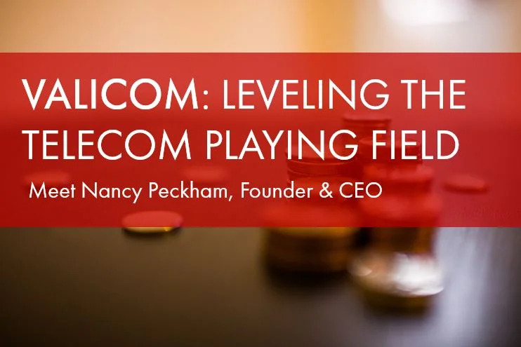 Leveling-the-Telecom-Playing-Field Leveling the Telecom Playing Field