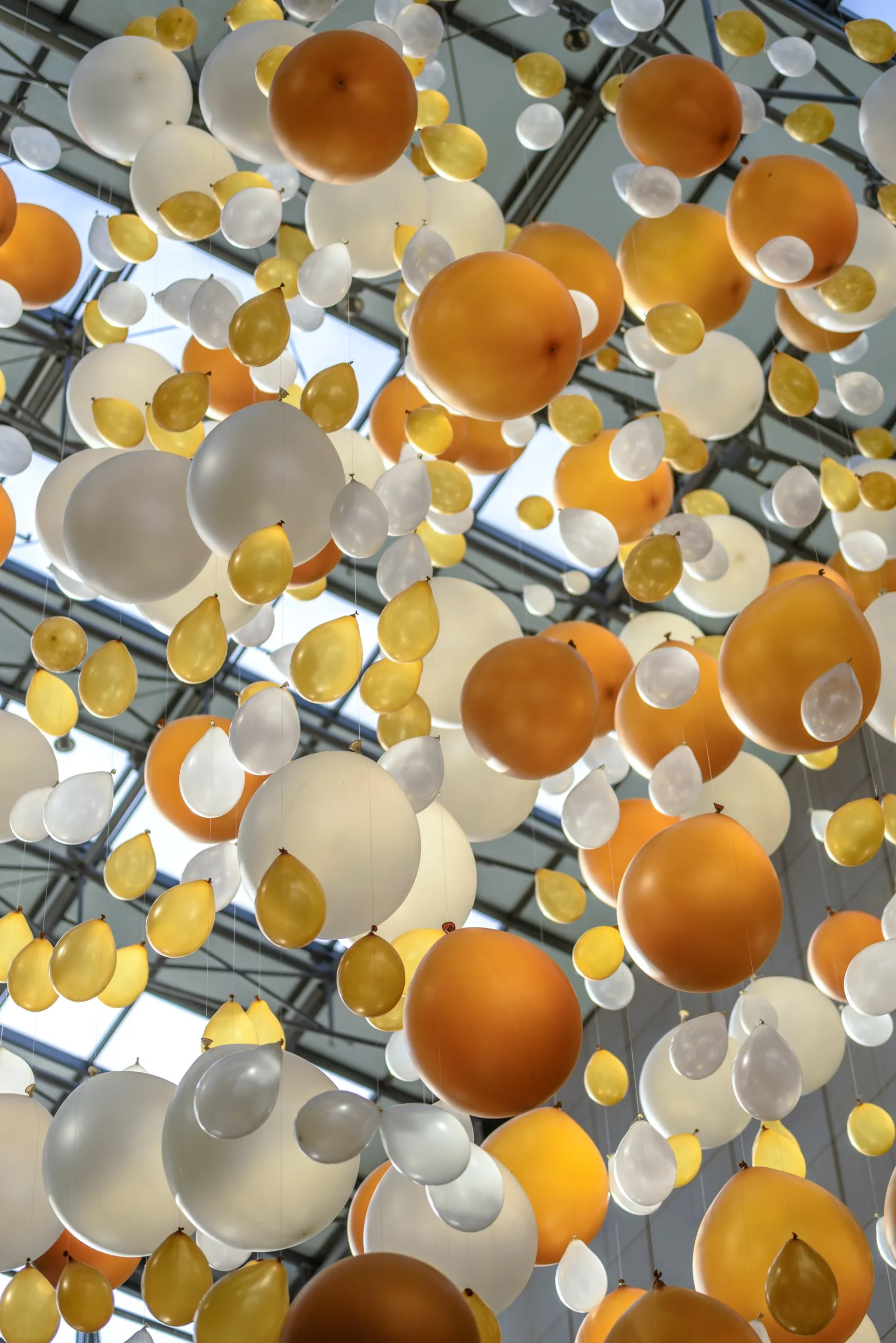 attachment-619682d0ab38806c93f4c5e1 Balloons